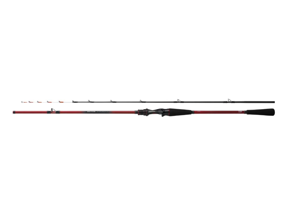 Daiwa Analystar Light Tachiuotenya 82-175 2 Pieces Baitcasting Rod