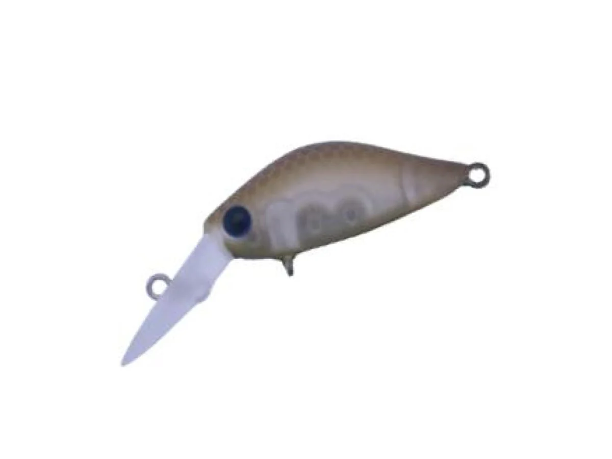 Daysprout Rita - Image 8