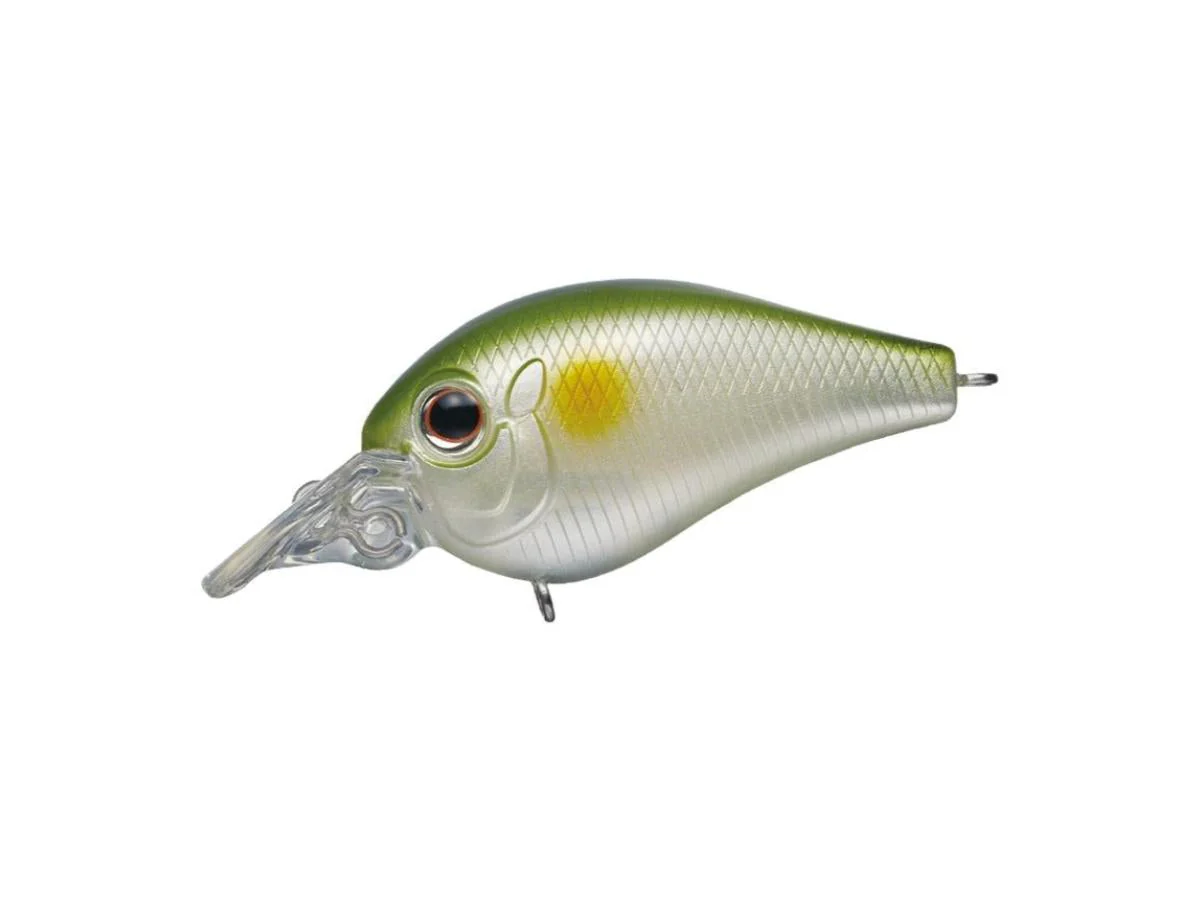 Evergreen Piccolo Dive Shallow - Image 3