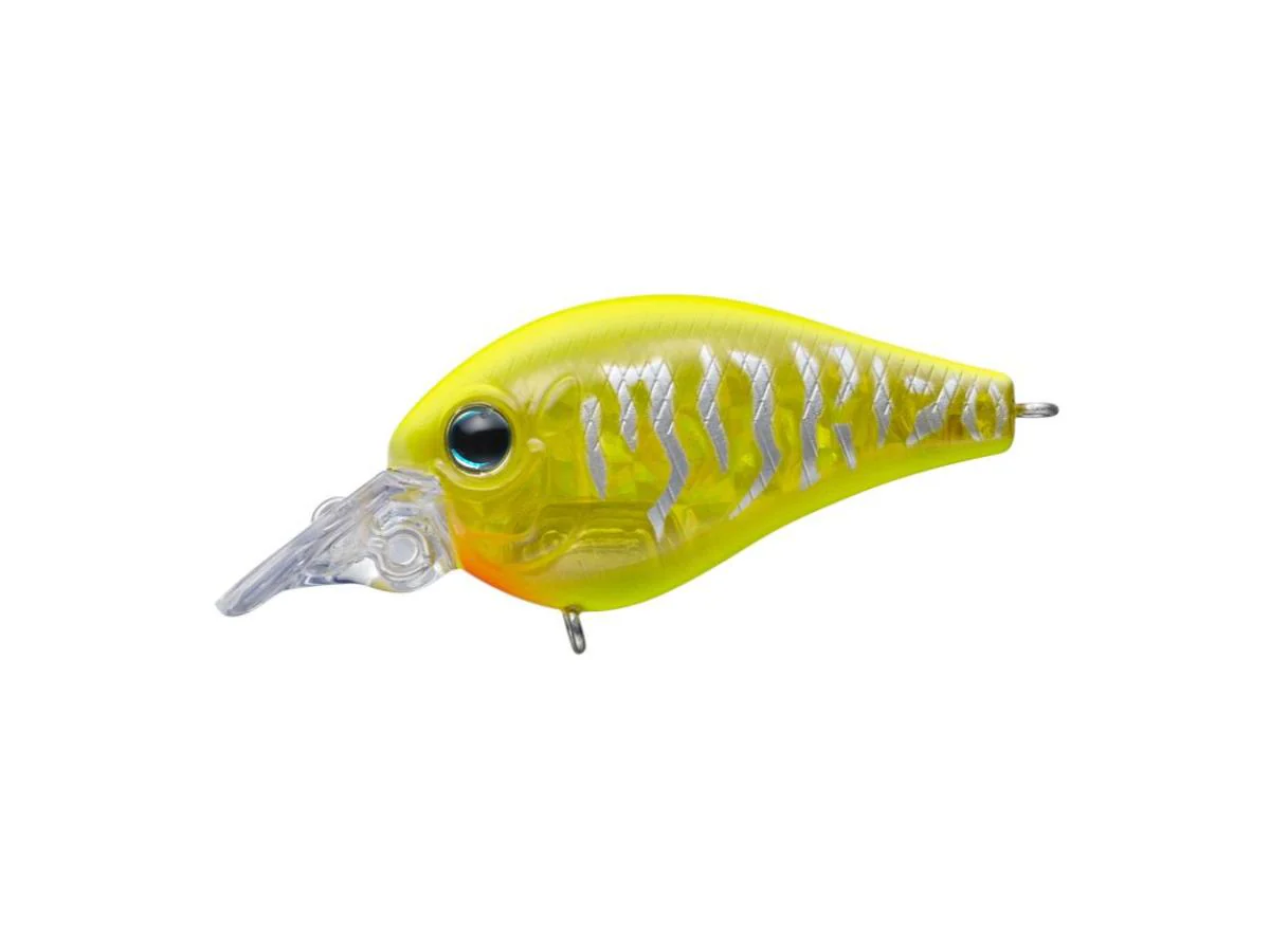 Evergreen Piccolo Dive Shallow - Image 7