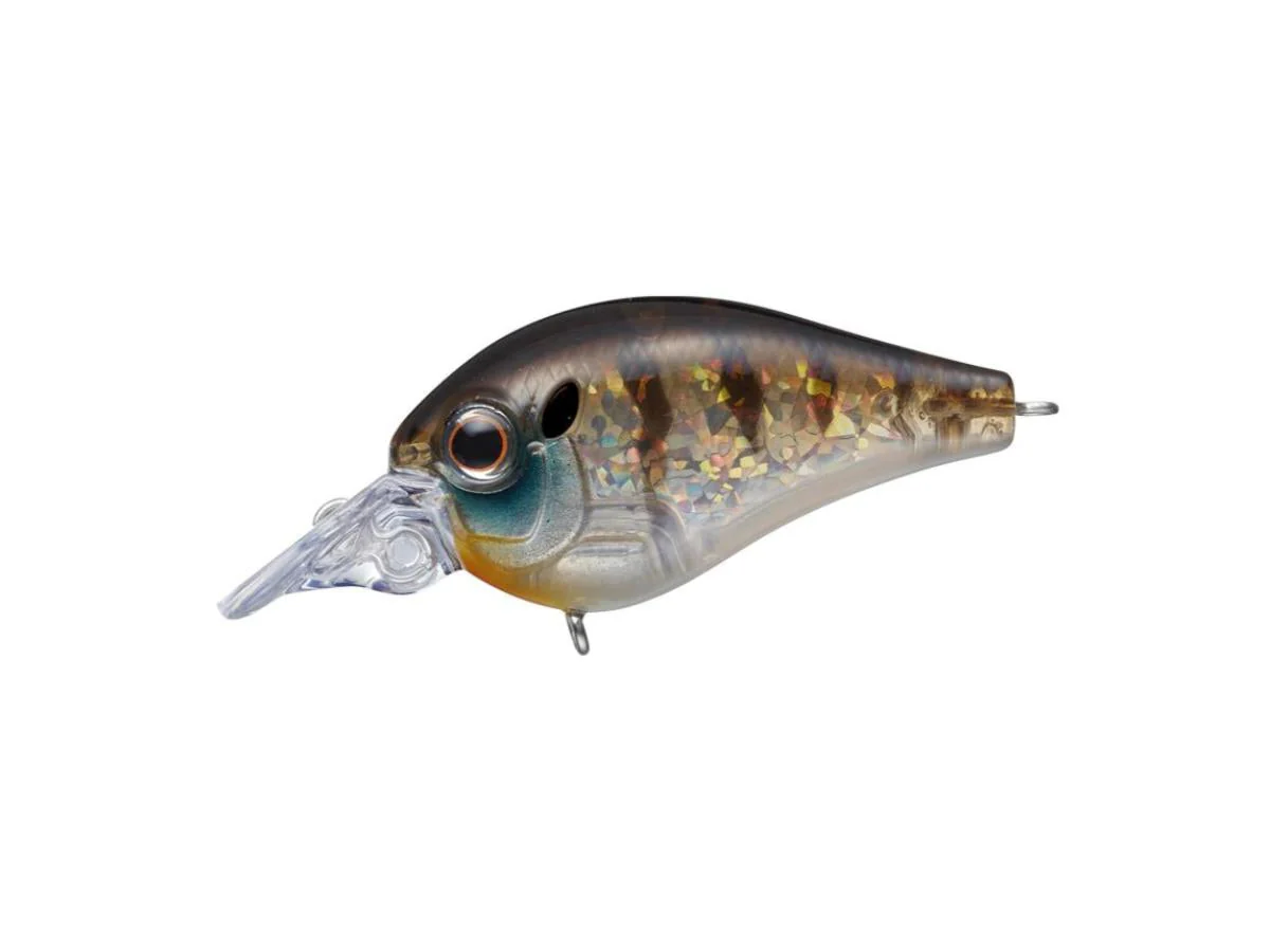 Evergreen Piccolo Dive Shallow - Image 9