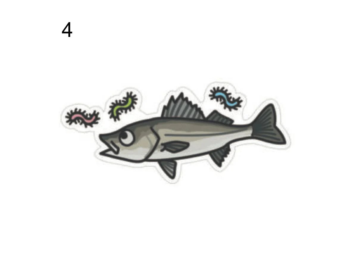 Hisao Design Sticker - Image 5