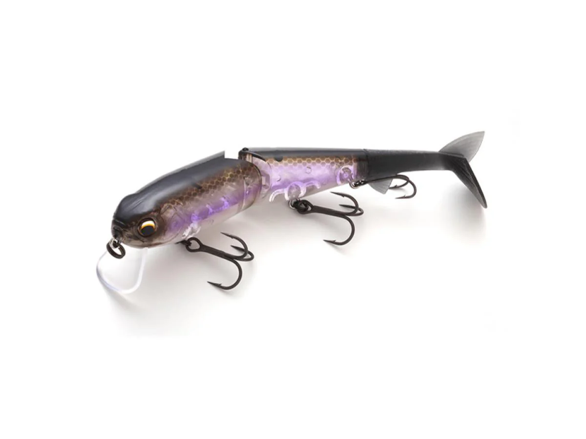 Imakatsu Buzz Bill Magnum Junior - Image 5