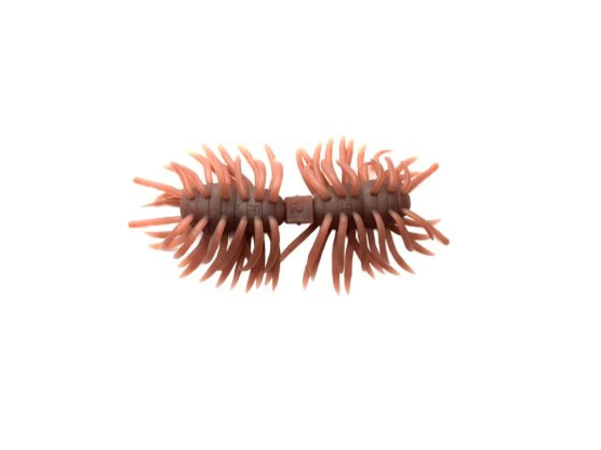 Imakatsu Hairy Spider Kujala - Image 7