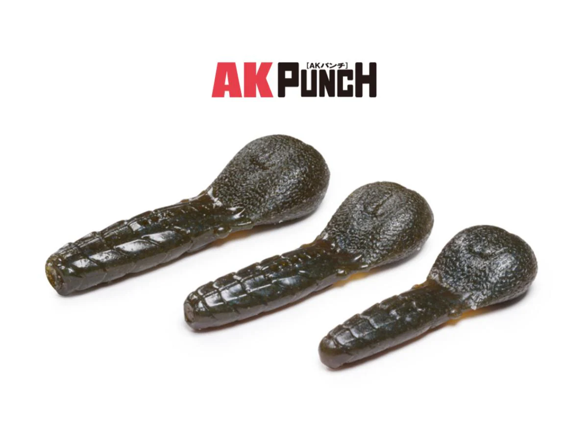 Issei AK Punch