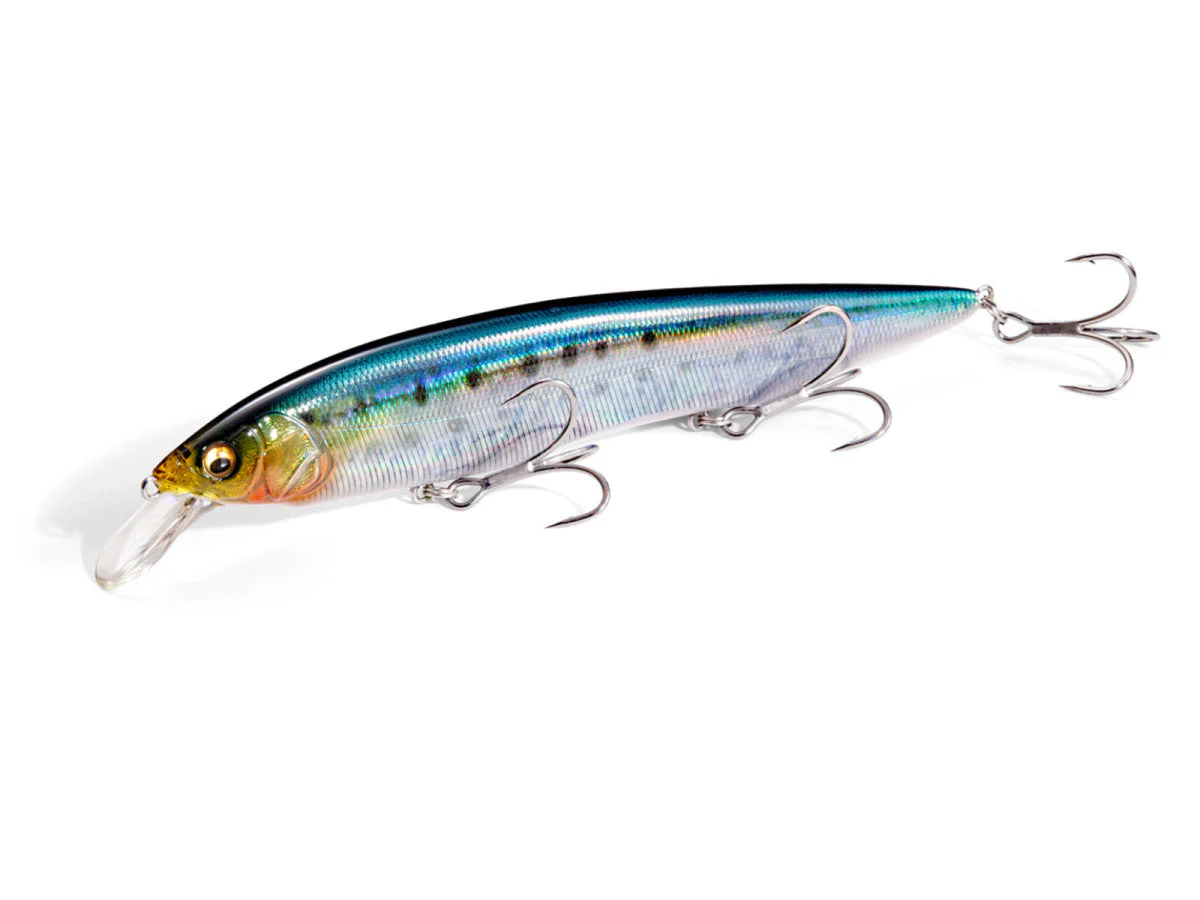 Megabass Kanata SW
