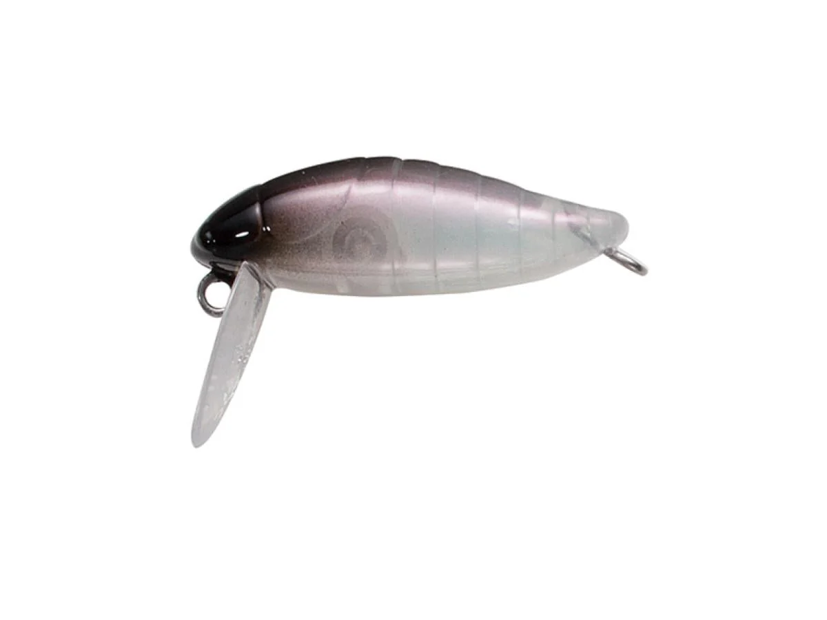 Tackle House Cicada - Image 10